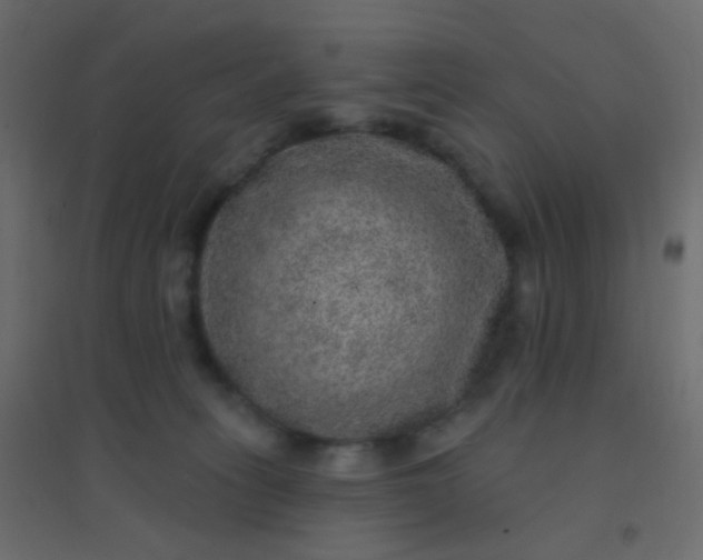 X0000094940275200712131606