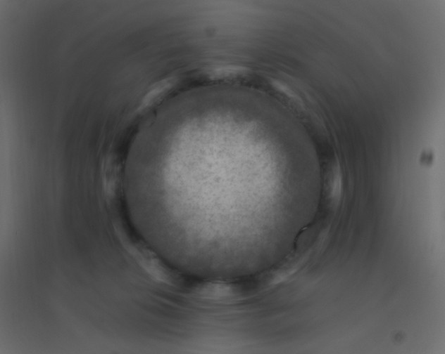 X0000094940276200712131606