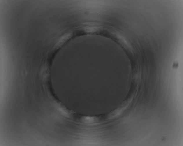 X0000094940277200712131606