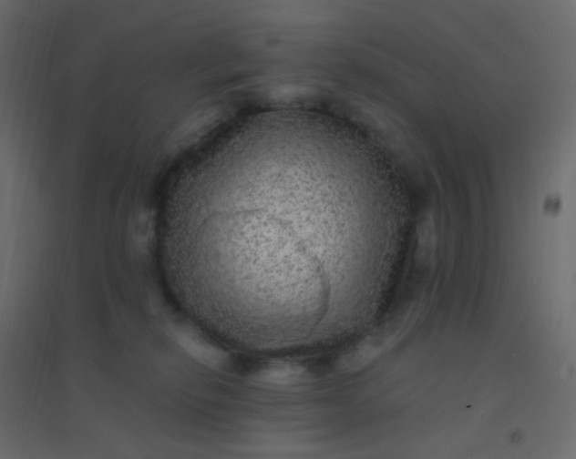 X0000094940278200712131606