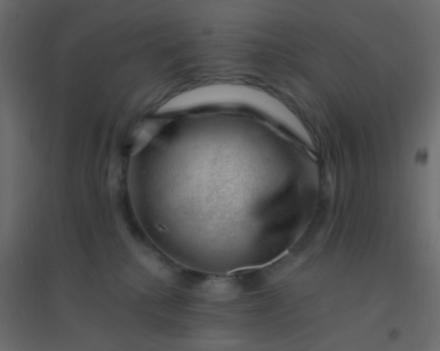 X0000094940280200712131606