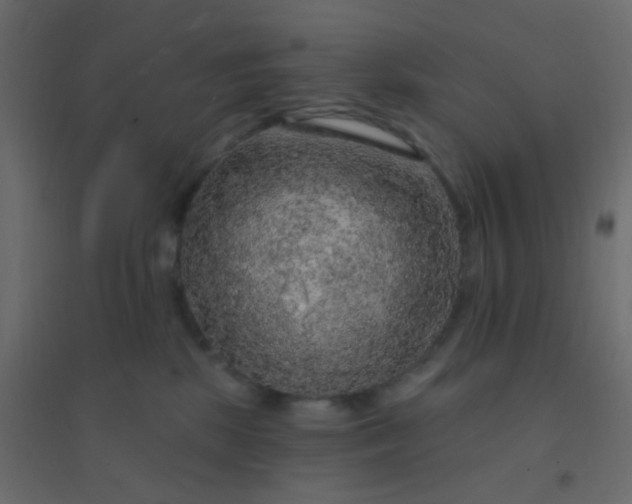 X0000094940281200712131606