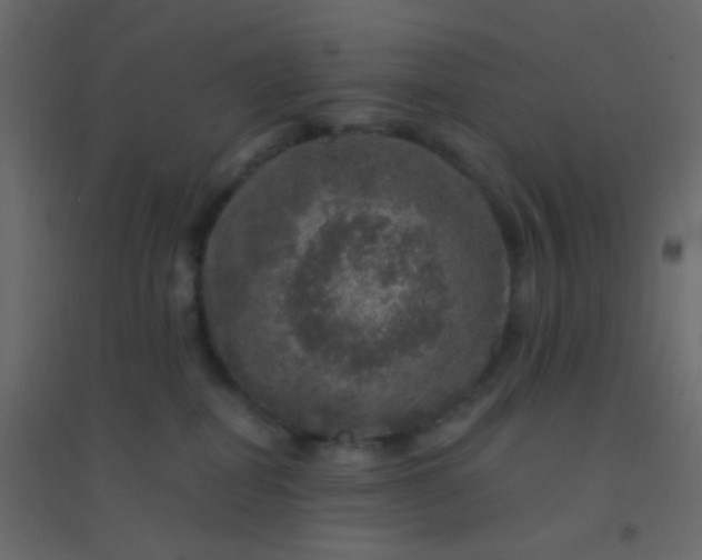 X0000094940282200712131606