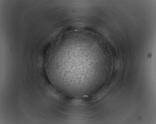 X0000094940283200712131606