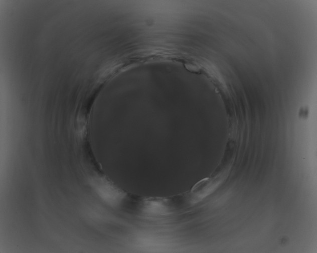 X0000094940285200712131607