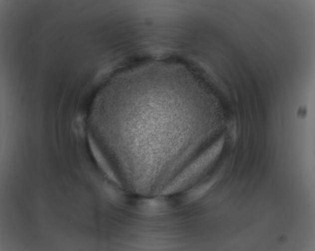 X0000094940286200712131607