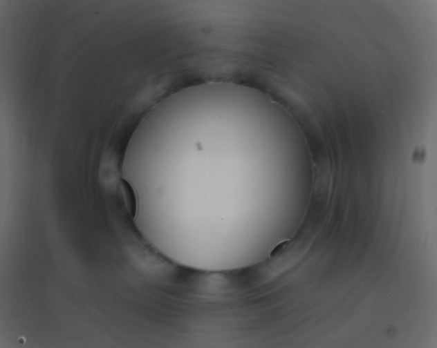 X0000094940287200712131607