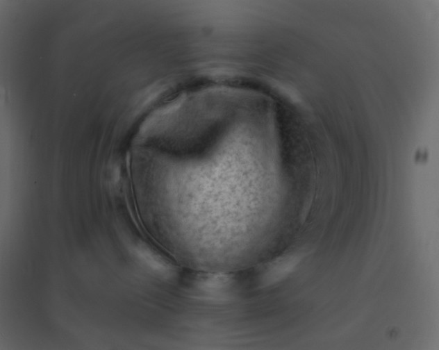 X0000094940288200712131607