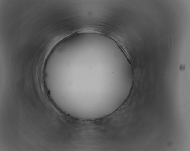 X0000094940289200712131606