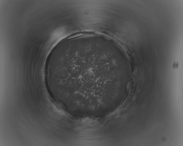 X0000094940290200712131606