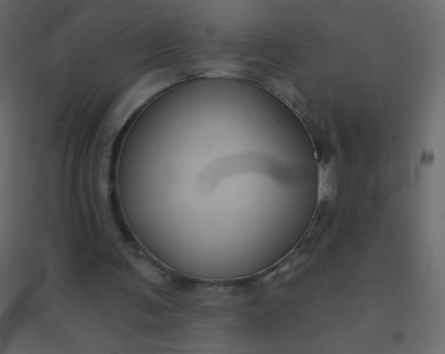 X0000094940291200712131606