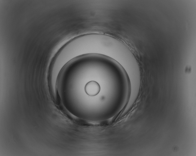 X0000094940292200712131606