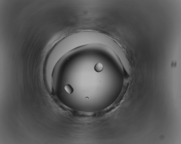 X0000094940293200712131606