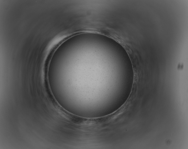 X0000094940294200712131606