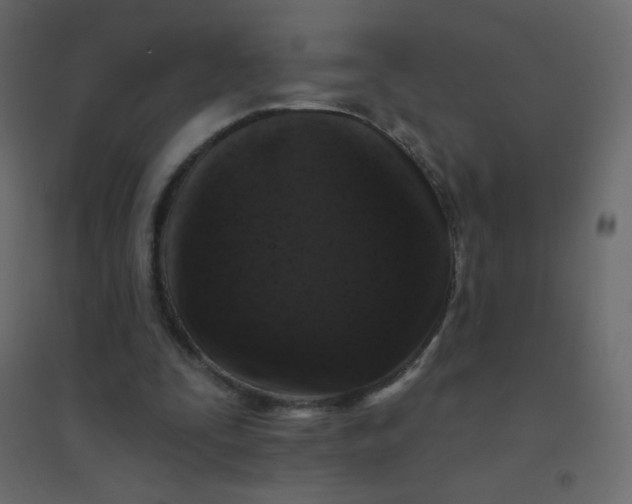 X0000094940295200712131606