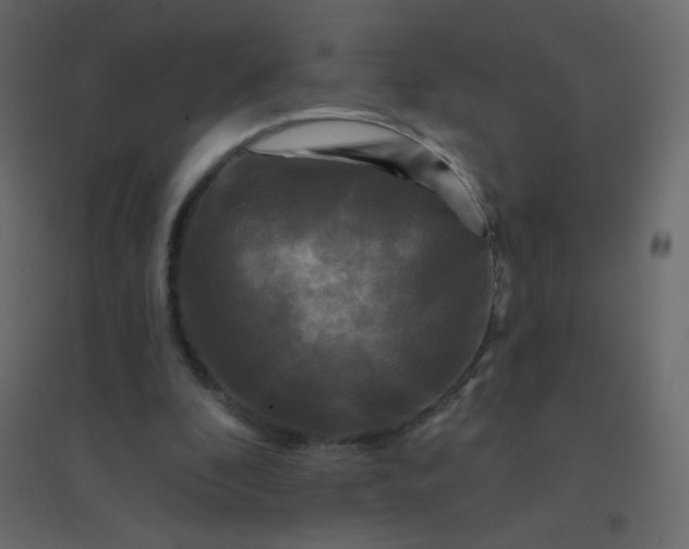 X0000094940296200712131606