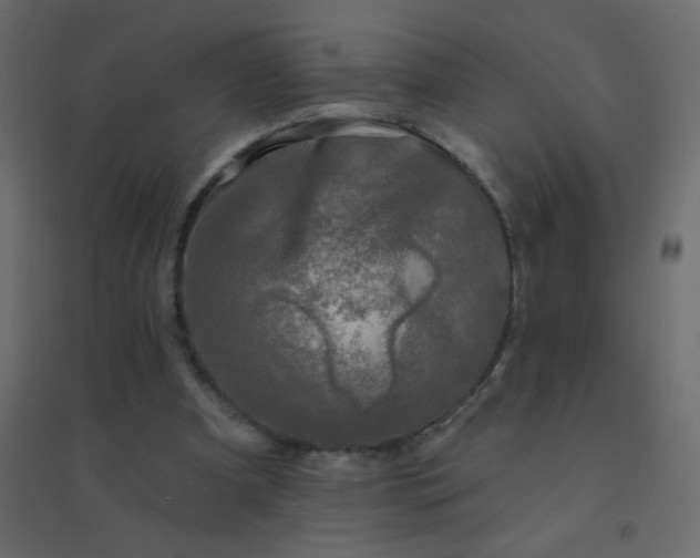 X0000094940297200712131606