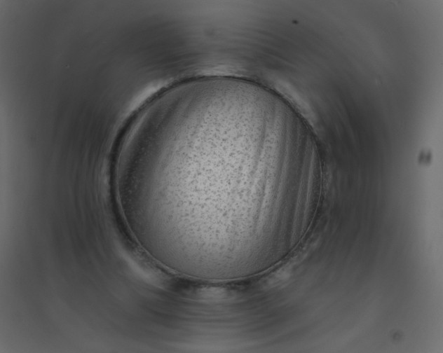 X0000094940298200712131606