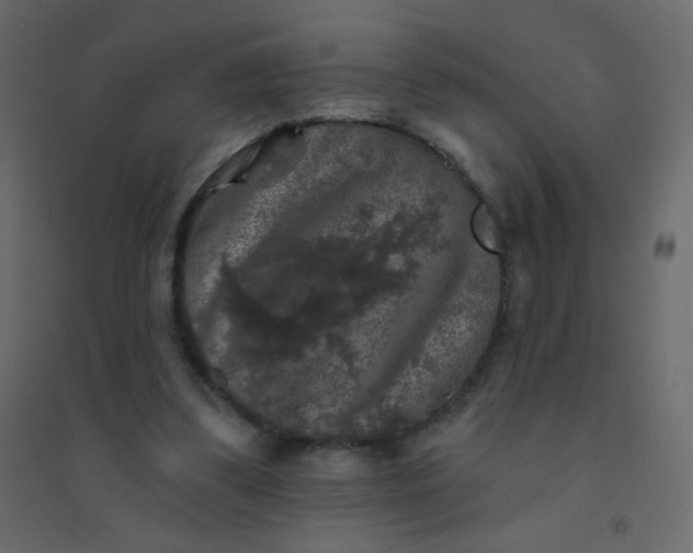 X0000094940299200712131606