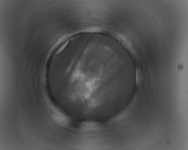 X0000094940300200712131606