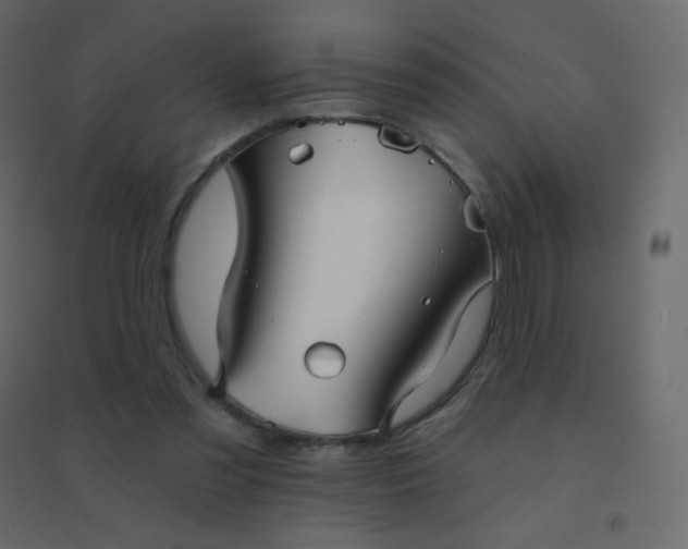 X0000094940301200712131606