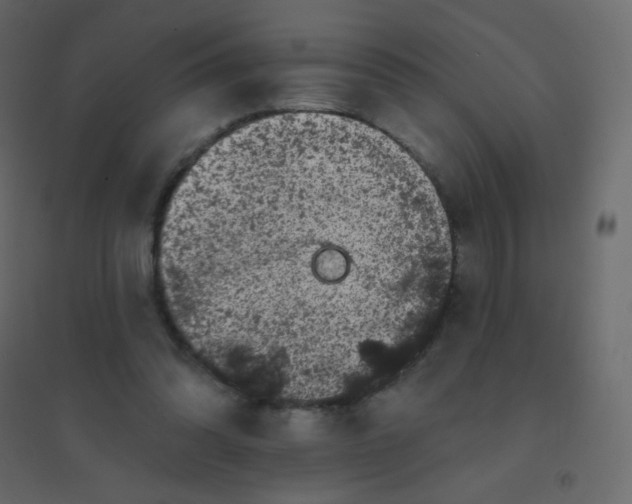 X0000094940302200712131606