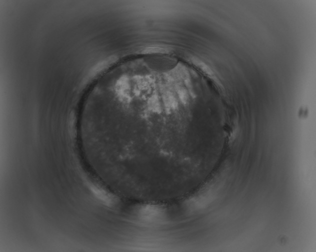 X0000094940303200712131606