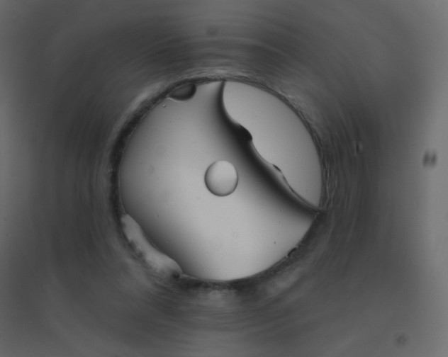 X0000094940304200712131606