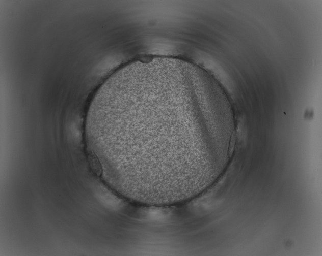 X0000094940305200712131606