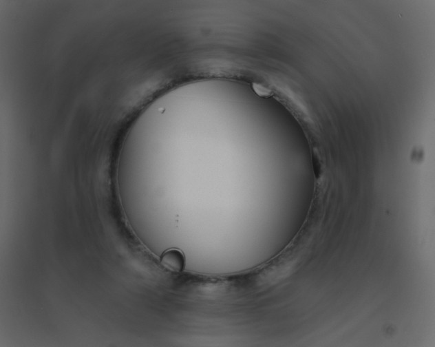 X0000094940306200712131606