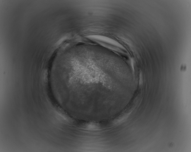 X0000094940308200712131606