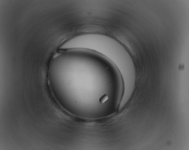 X0000094940309200712131606