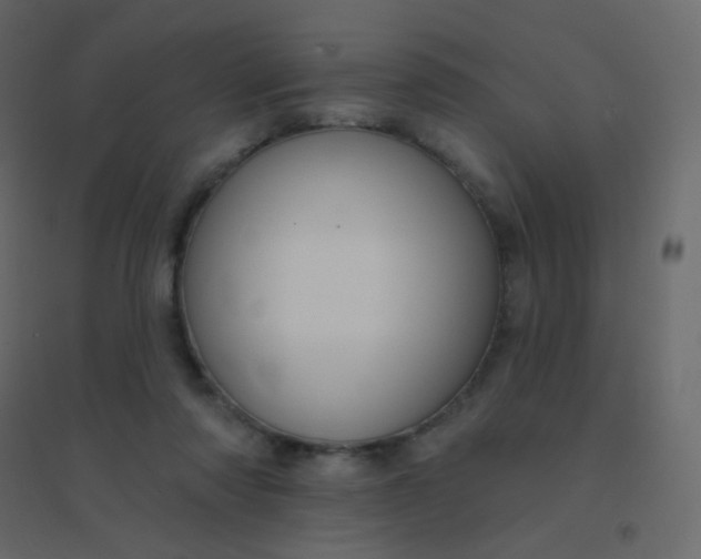 X0000094940310200712131606