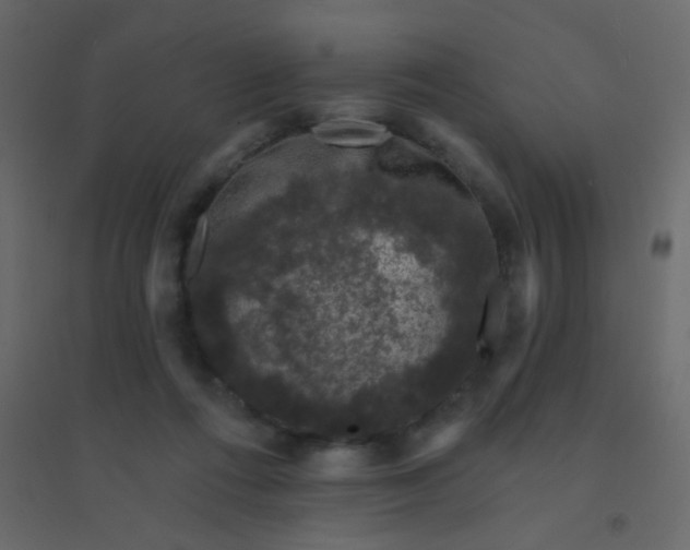 X0000094940312200712131606