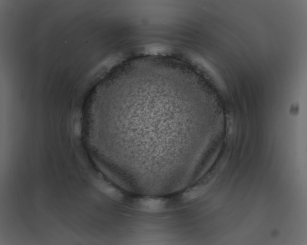 X0000094940313200712131606