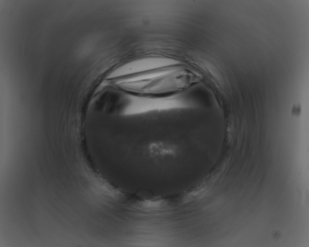 X0000094940314200712131606