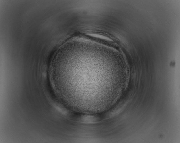 X0000094940315200712131606