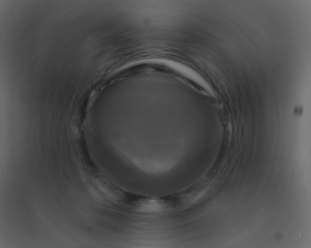 X0000094940316200712131606