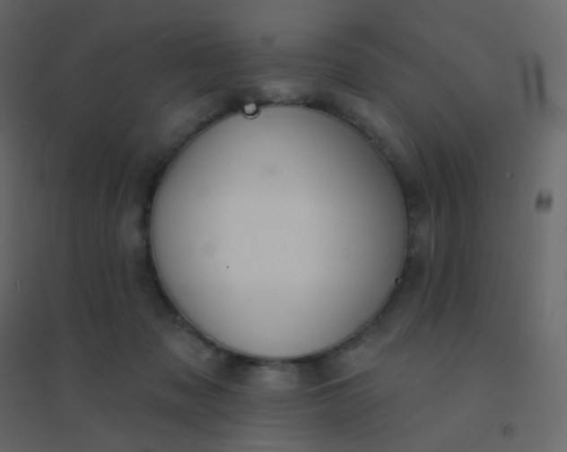 X0000094940317200712131606