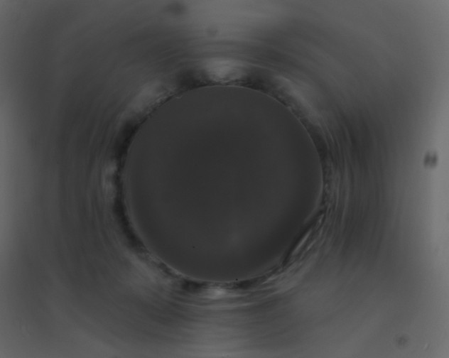 X0000094940319200712131605