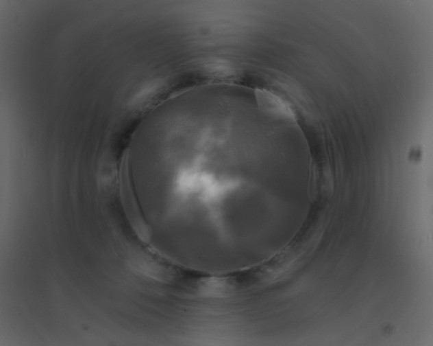 X0000094940320200712131605