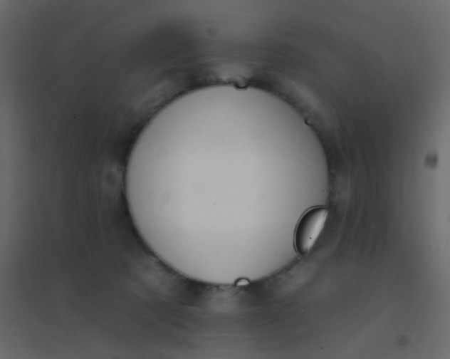 X0000094940321200712131605