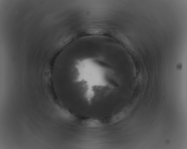 X0000094940322200712131605