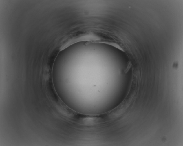 X0000094940323200712131605