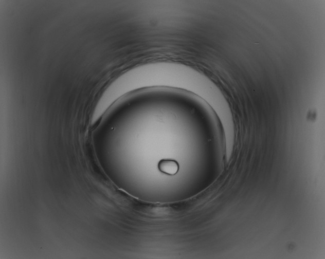 X0000094940324200712131605