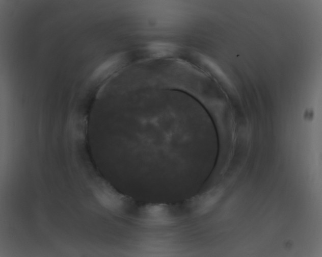 X0000094940325200712131605