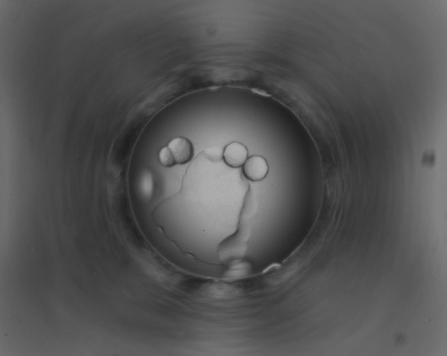 X0000094940327200712131605