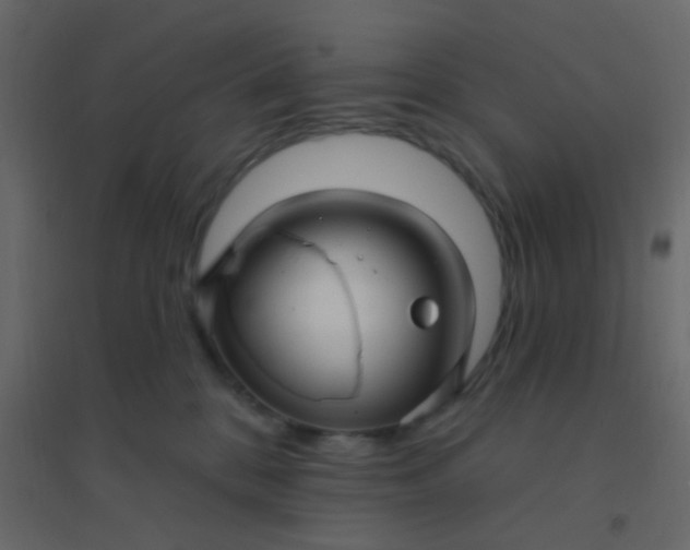 X0000094940328200712131605