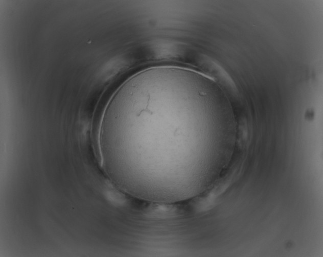 X0000094940329200712131605