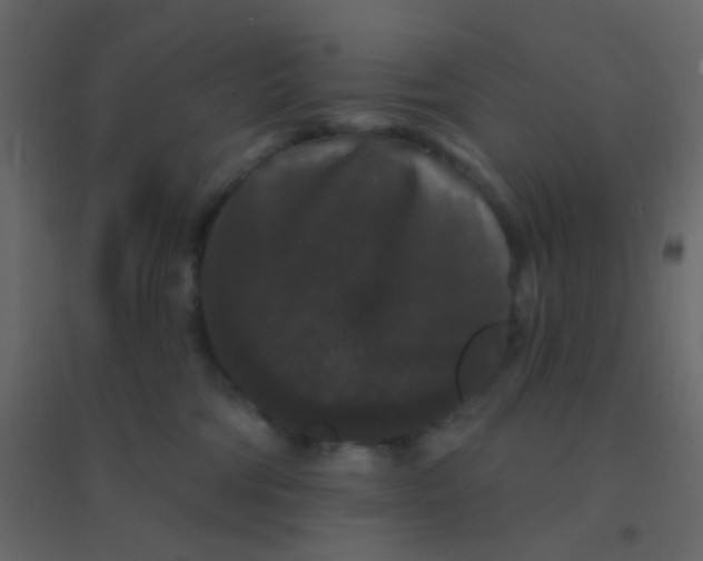 X0000094940330200712131605